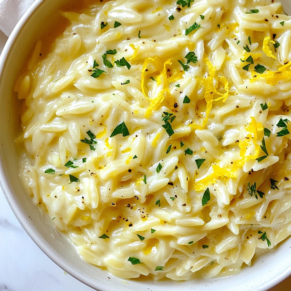 Creamy Lemon Parmesan Orzo Easy and Flavorful Dish